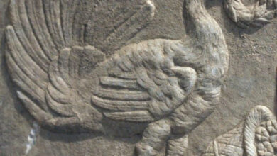 نماد طاووس در گنج یابی