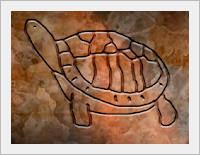 مفهوم نماد لاکپشت در دفینه یابی و گنج یابی
