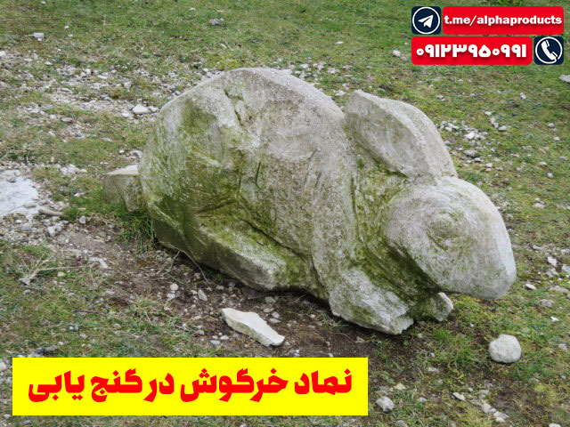 نماد خرگوش در گنج یابی
