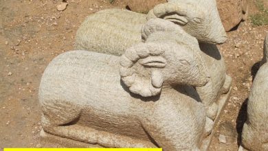مفهوم نماد گاو در گنجیابی