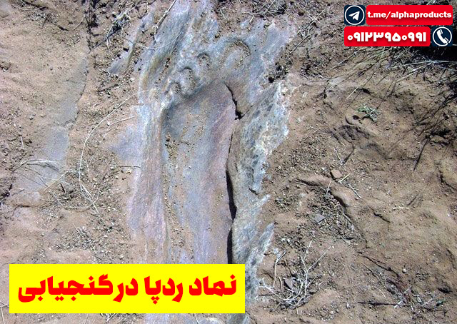 نشان ردپای برهنه در گنجیابی
