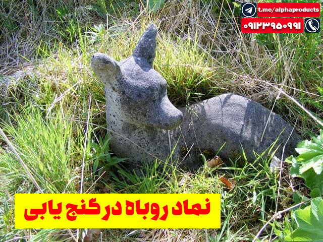 نماد روباه در گنج یابی