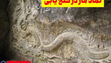 نماد مار