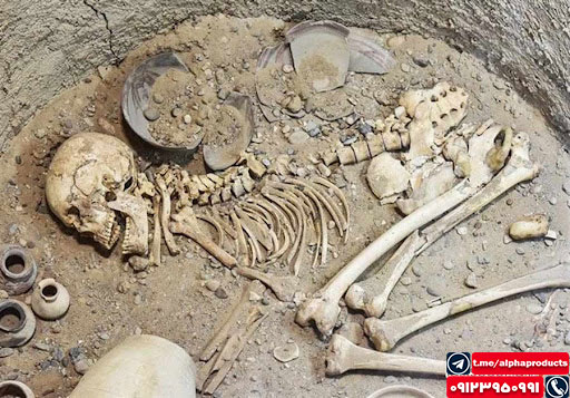 گنج و دفینه