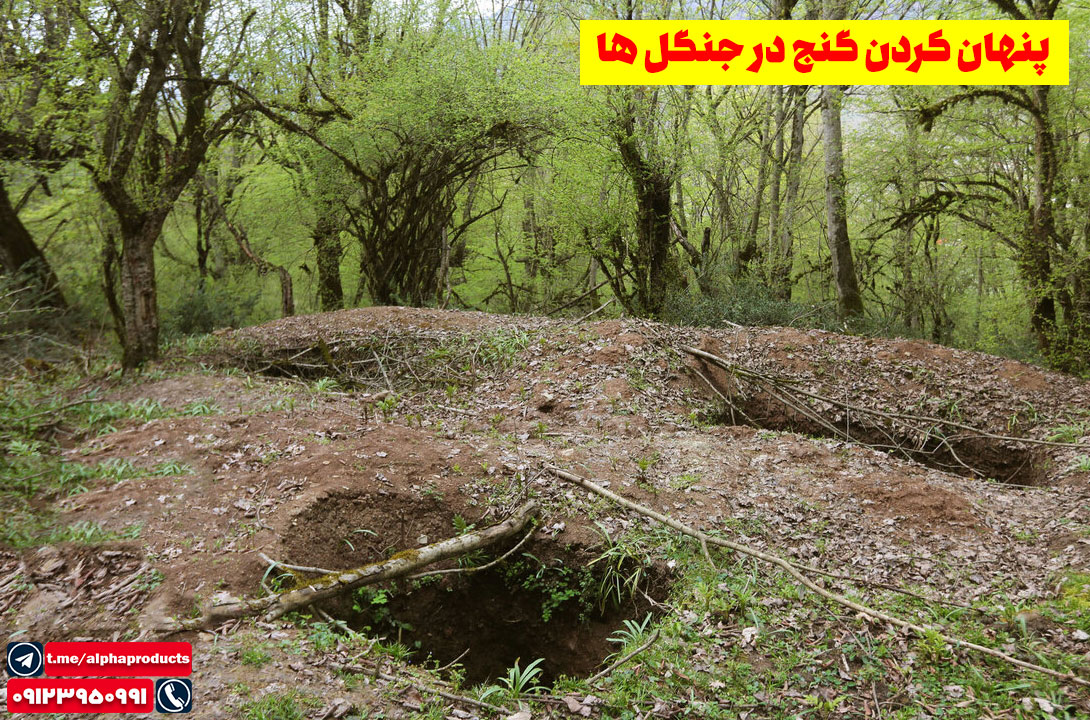 پنهان کردن گنج در جنگلها